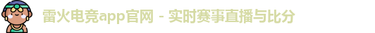 雷火电竞app